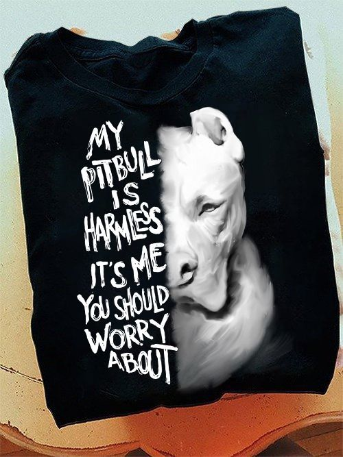 My Pitbull is harmless It's me, You should worry about T-Shirt - Stunwave